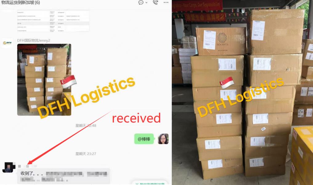 sea freight door to door shipping from China to Singapore