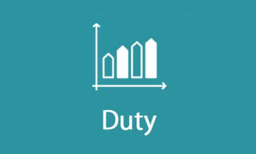 import duty