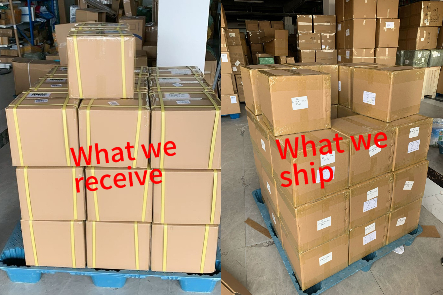 DHL Freight China to Netherlands